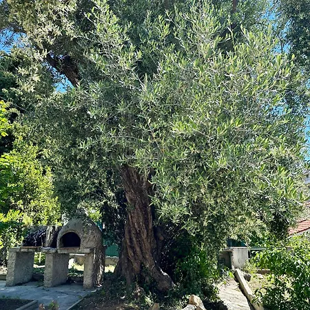 Maison Proche Gare Et Au Coeur De Holiday home